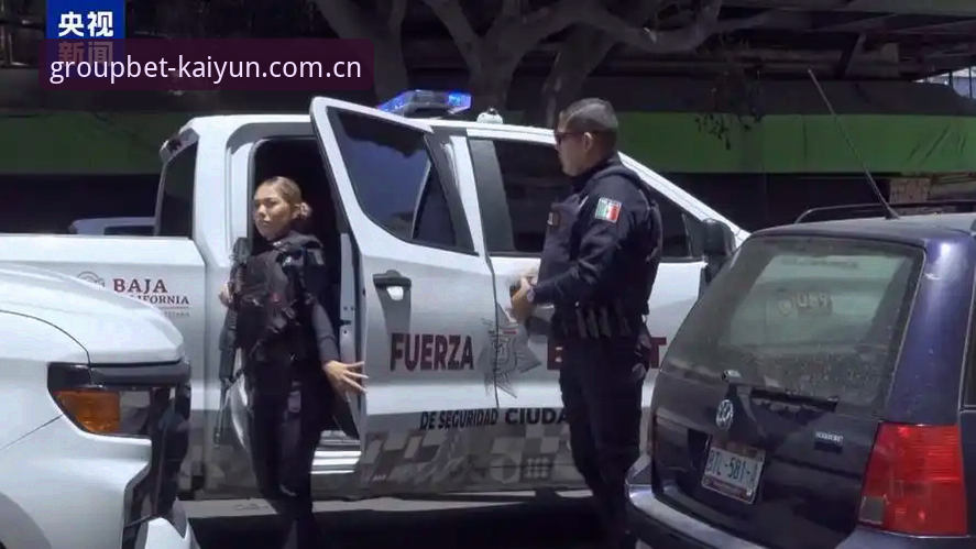 世界杯安保仅派出3名英警，开云体育赛事预测平台用户热议背后安保成本问题